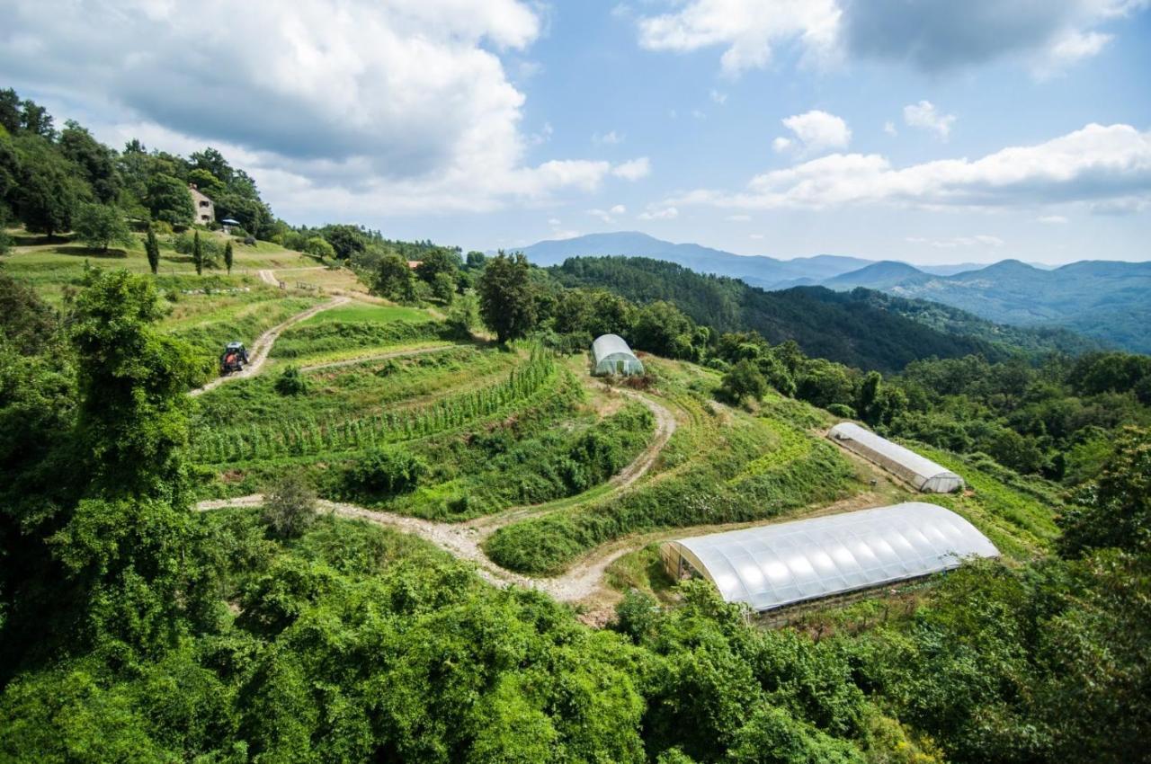 Agriturismo Giandriale 타바로네 외부 사진