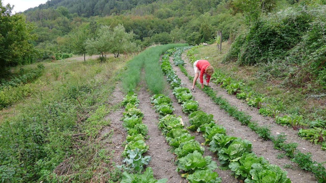 Agriturismo Giandriale 타바로네 외부 사진